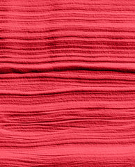 Dipping Powder Red-Veal Your Truth